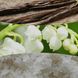 Ароматична свічка з ароматом ванілі та морської солі Woodwick Medium Vanilla & Sea Salt 275 г