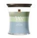 Ароматична свічка з тришаровим ароматом Woodwick Medium Trilogy Verdant Woods 453 г