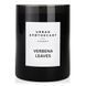 Ароматична свічка з цитрусовим ароматом Urban apothecary Verbena leaves 300 г
