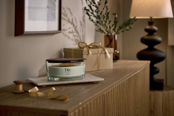 Ароматична свічка з ароматом копченого дерева та яблучної шкірки Woodwick Ellipse Fireside 453 г