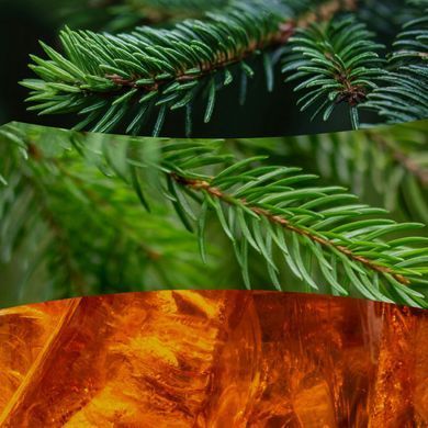Ароматична свічка з ароматом свіжозрізаної ялини Woodwick Ellipse Fraser Fir 453 г