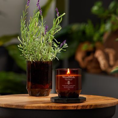 Свічка з базиліком і листям томатів Tomato leaf & basil Large RENEW Woodwick