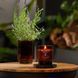 Свічка з базиліком і листям томатів Tomato leaf & basil Large RENEW Woodwick