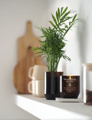 Свічка з чорною смородиною та трояндою Black Currant & Rose RENEW Woodwick