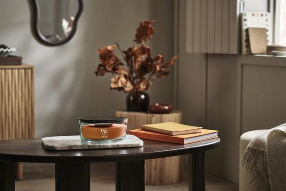 Ароматична свічка з нотами гарбуза та спецій Woodwick Ellipse Pumpkin Praline 453 г