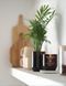 Свічка з чорною смородиною та трояндою Black Currant & Rose RENEW Woodwick