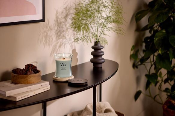 Ароматична свічка з ароматом копченого дерева та яблучної шкірки Woodwick Medium Fireside 275 г