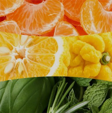 Ароматична свічка з ароматом цитрусових та мандарину Woodwick Ellipse Tangerine & Citron 453 г