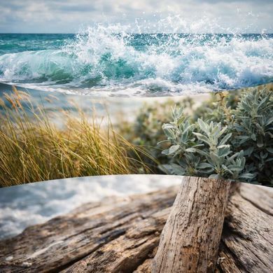 Ароматична свічка з тришаровим ароматом Woodwick Ellipse Trilogy Driftwood Shores 453г